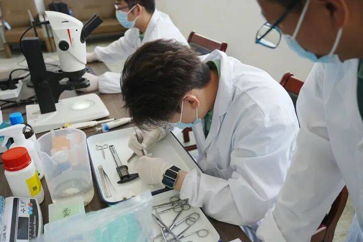 桌——中山大学海洋科学学院创新守护“蓝色粮仓”｜新华智见mg不朽情缘游戏平台把实验室搬到“塘头”让成果“游”上餐(图6)