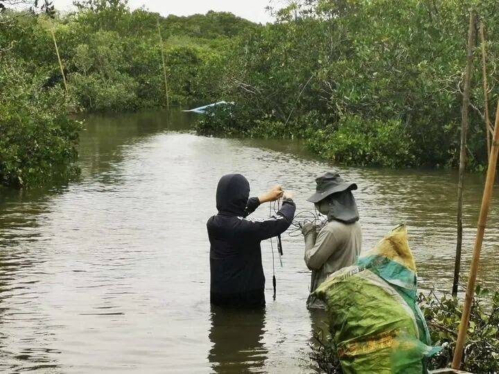 桌——中山大学海洋科学学院创新守护“蓝色粮仓”｜新华智见mg不朽情缘游戏平台把实验室搬到“塘头”让成果“游”上餐(图7)